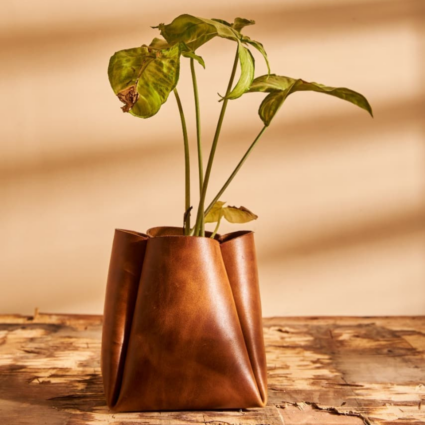 Cup- Leather Plant Pot Cover