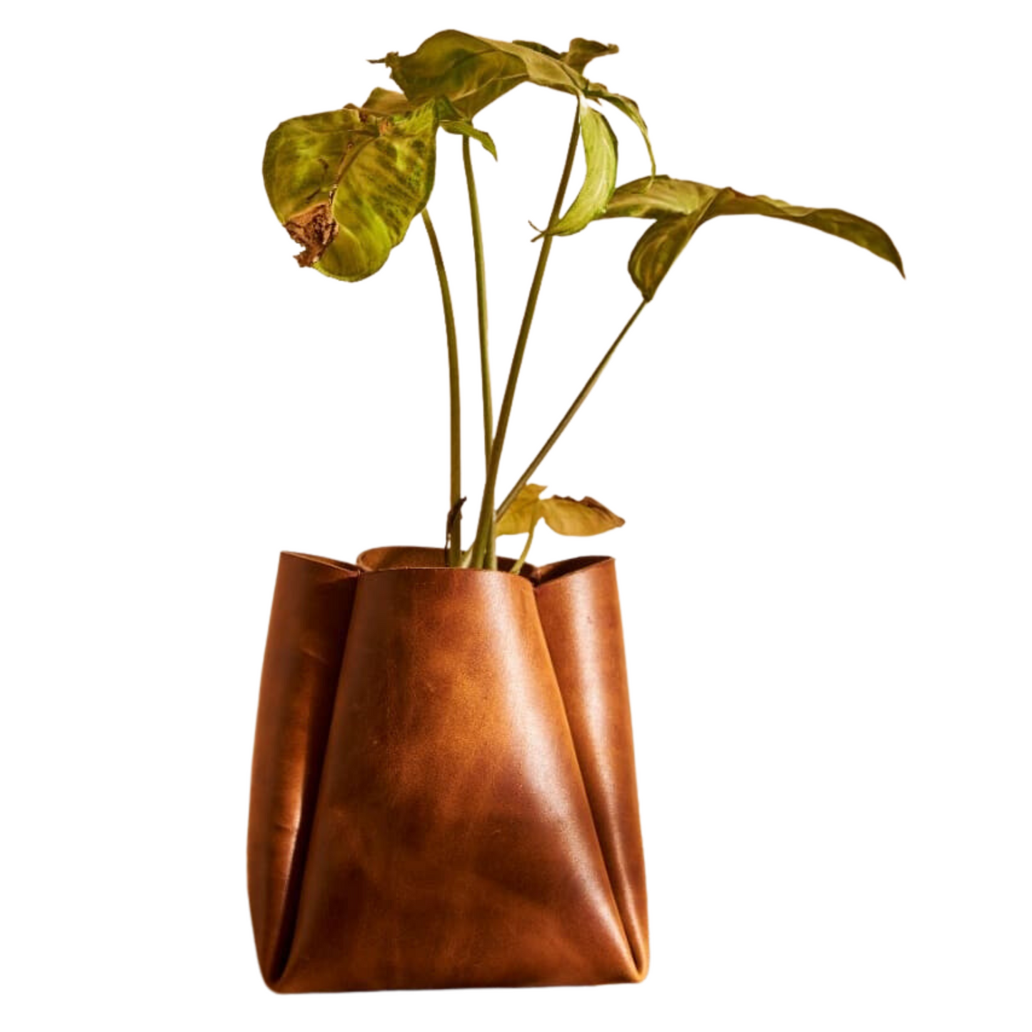 Cup- Leather Plant Pot Cover